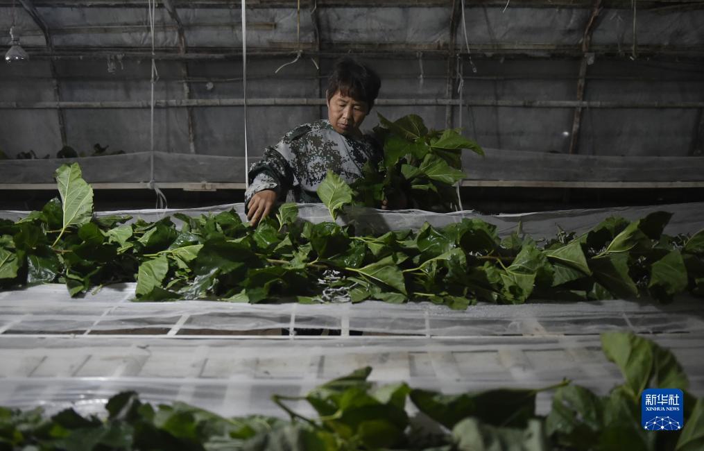百盈足球社区
